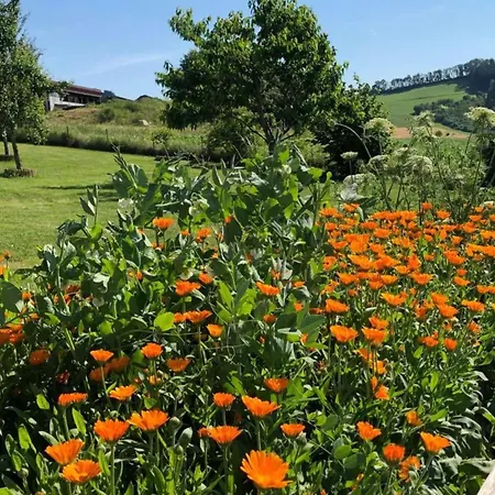 Bavarian Hideaway For Families Vakantiehuis *